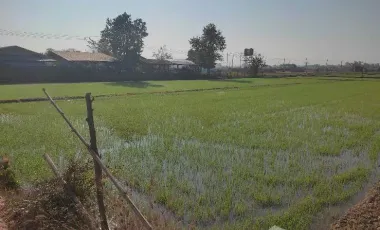 Land for sale in Mae Kon, Chiang Rai