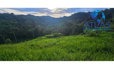 OPORTUNIDAD VENTA DE FINCA EN BARRANCABERMEJA /SANTANDER COD 788