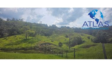 OPORTUNIDAD VENTA DE FINCA EN BARRANCABERMEJA /SANTANDER COD 788