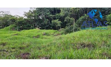 OPORTUNIDAD VENTA DE FINCA EN BARRANCABERMEJA /SANTANDER COD 788