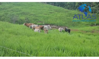 OPORTUNIDAD VENTA DE FINCA EN BARRANCABERMEJA /SANTANDER COD 788