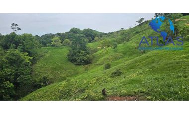 OPORTUNIDAD VENTA DE FINCA EN BARRANCABERMEJA /SANTANDER COD 788