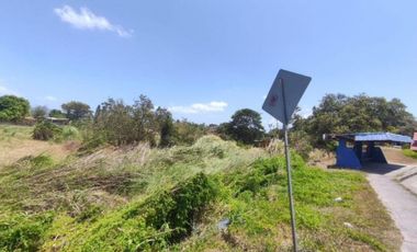 PANAMERICANA TERRENO COMERCIAL / CHAME / 4332M2 / VIA INTERAMERICANA