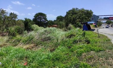 PANAMERICANA TERRENO COMERCIAL / CHAME / 4332M2 / VIA INTERAMERICANA