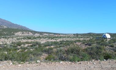 LOTE 1000 M2 POTRERILLOS CERCA DEL PERILAGO