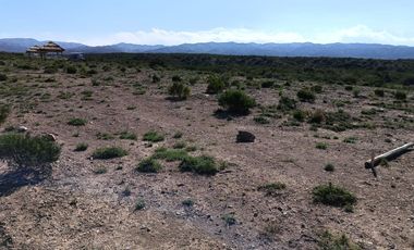 LOTE 1000 M2 POTRERILLOS CERCA DEL PERILAGO