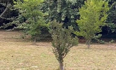 Casa en arriendo en FRUTILLAR