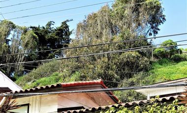 Terreno Construccion  en Venta en Playa Amarilla - Concón.