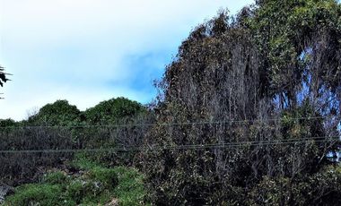 Terreno Construccion  en Venta en Playa Amarilla - Concón.
