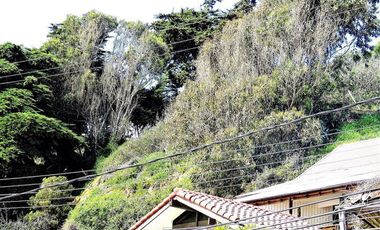 Terreno Construccion  en Venta en Playa Amarilla - Concón.