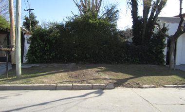 Casa - Luis Guillon