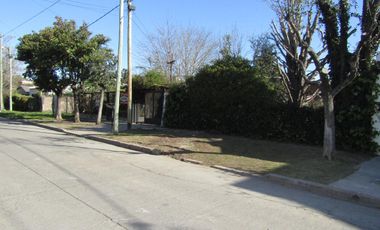 Casa - Luis Guillon