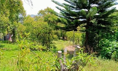 Parcela en Venta en Paradero 14