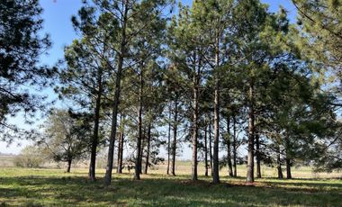 Venta Lote Interno en Tilbury Sur Pilará