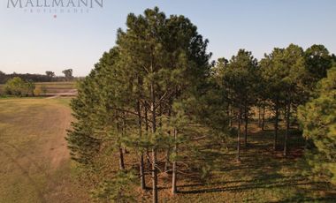 Venta Lote Interno en Tilbury Sur Pilará