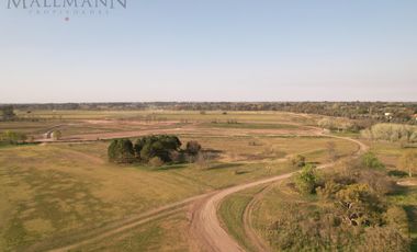Venta Lote Interno en Tilbury Sur Pilará