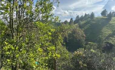 Vendo finca Marinilla sector Las Mercedes
