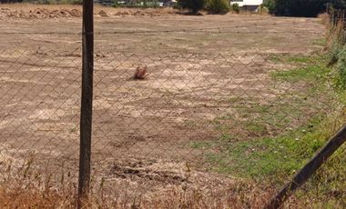 TERRENO EN VENTA 5000 M2, MAULE