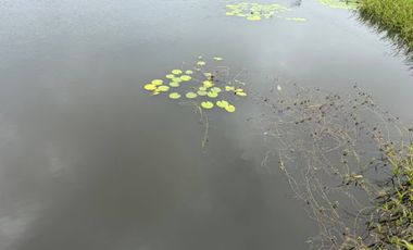 VENTA de CASAS en FUSAGASUGA