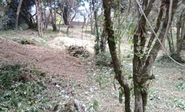 VENTA de LOTES en LA CALERA