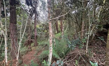 VENTA de CASA LOTE en LA CALERA