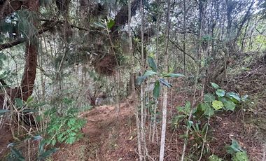 VENTA de CASA LOTE en LA CALERA