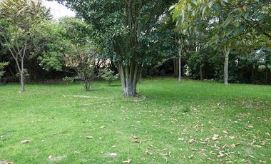 VENTA de CASAS en CHIA