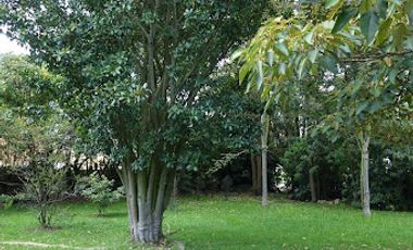 VENTA de CASAS en CHIA