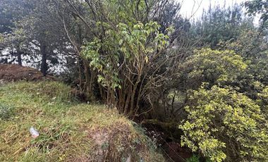 VENTA de LOTES en LA CALERA