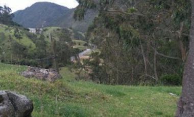 VENTA de CASAS en LA CALERA
