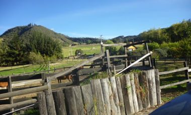 VENTA de CASAS en LA CALERA
