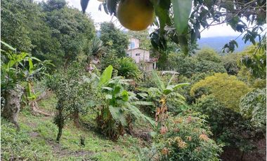 Se Vende Casa lote en Tena