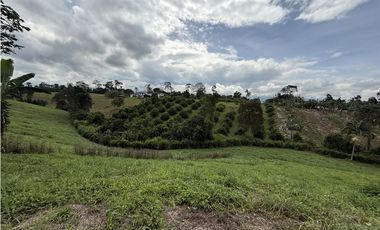 Se Vende Lote Condominio Campestre Para Villas Turisticas