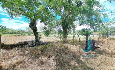 VENDO.LOTE TITULADO.EN.SAN.JUAN.DEL.TEJAR VIA.AGUACATAL