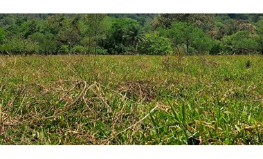 VENDO 1HAS+1815MTS CON 200.METROS FRENTE VIA.PRINCIPAL FMALL