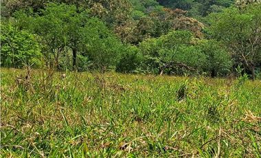 VENDO 1HAS+1815MTS CON 200.METROS FRENTE VIA.PRINCIPAL FMALL