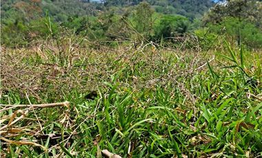 VENDO 1HAS+1815MTS CON 200.METROS FRENTE VIA.PRINCIPAL FMALL