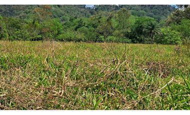 VENDO 1HAS+1815MTS CON 200.METROS FRENTE VIA.PRINCIPAL FMALL