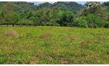 VENDO 1HAS+1815MTS CON 200.METROS FRENTE VIA.PRINCIPAL FMALL