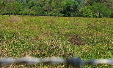 VENDO 1HAS+1815MTS CON 200.METROS FRENTE VIA.PRINCIPAL FMALL