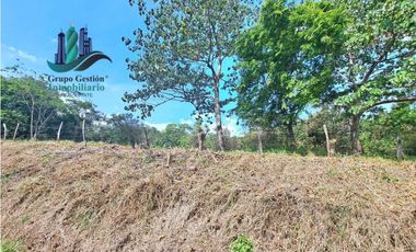 VENDO 1HAS+1815MTS CON 200.METROS FRENTE VIA.PRINCIPAL FMALL