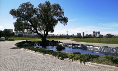 Venta de Lotes Residenciales Reencuentro Residencial Pachuca ZP