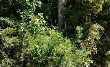 Parcela en Venta en Parcelacion Los Volcanes, sector La Poza, comuna de Puerto Varas