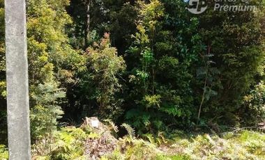 Parcela en Venta en Parcelacion Los Volcanes, sector La Poza, comuna de Puerto Varas