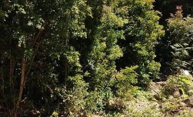 Parcela en Venta en Parcelacion Los Volcanes, sector La Poza, comuna de Puerto Varas