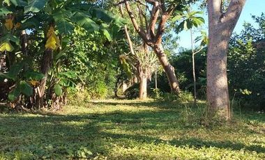 Casa en venta Temozón