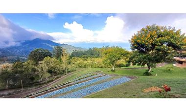 Venta finca en conjunto cerrado en Dapa