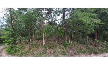 LOTE EN VENTA EN RESTREPO META