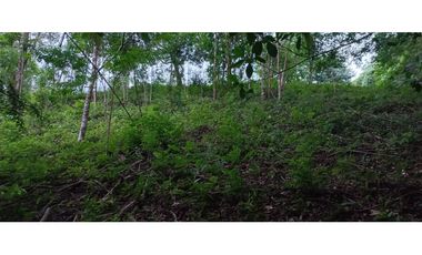 LOTE EN VENTA EN RESTREPO META