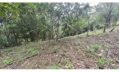 LOTE EN VENTA EN RESTREPO META